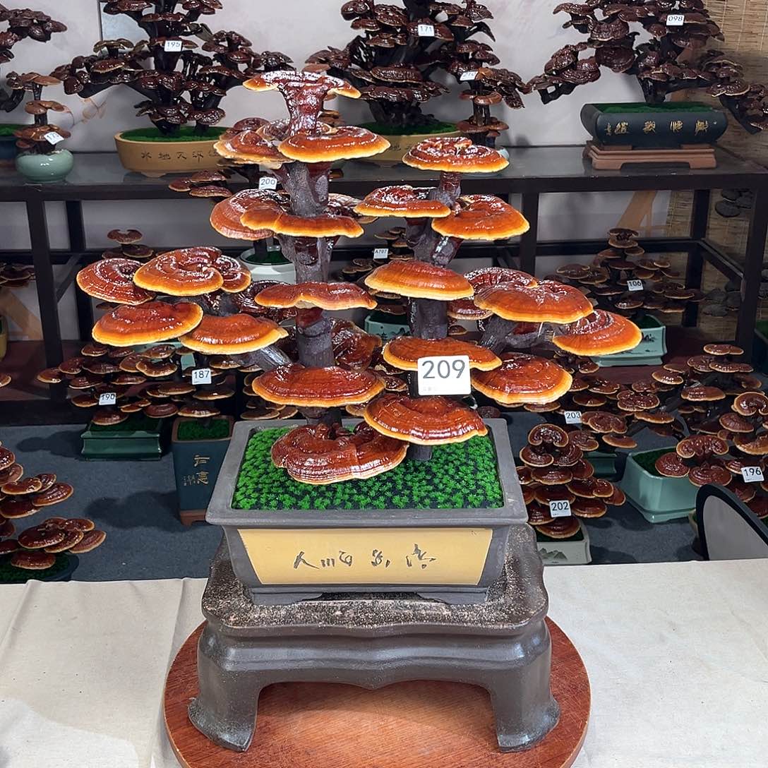 万事如意88888888209