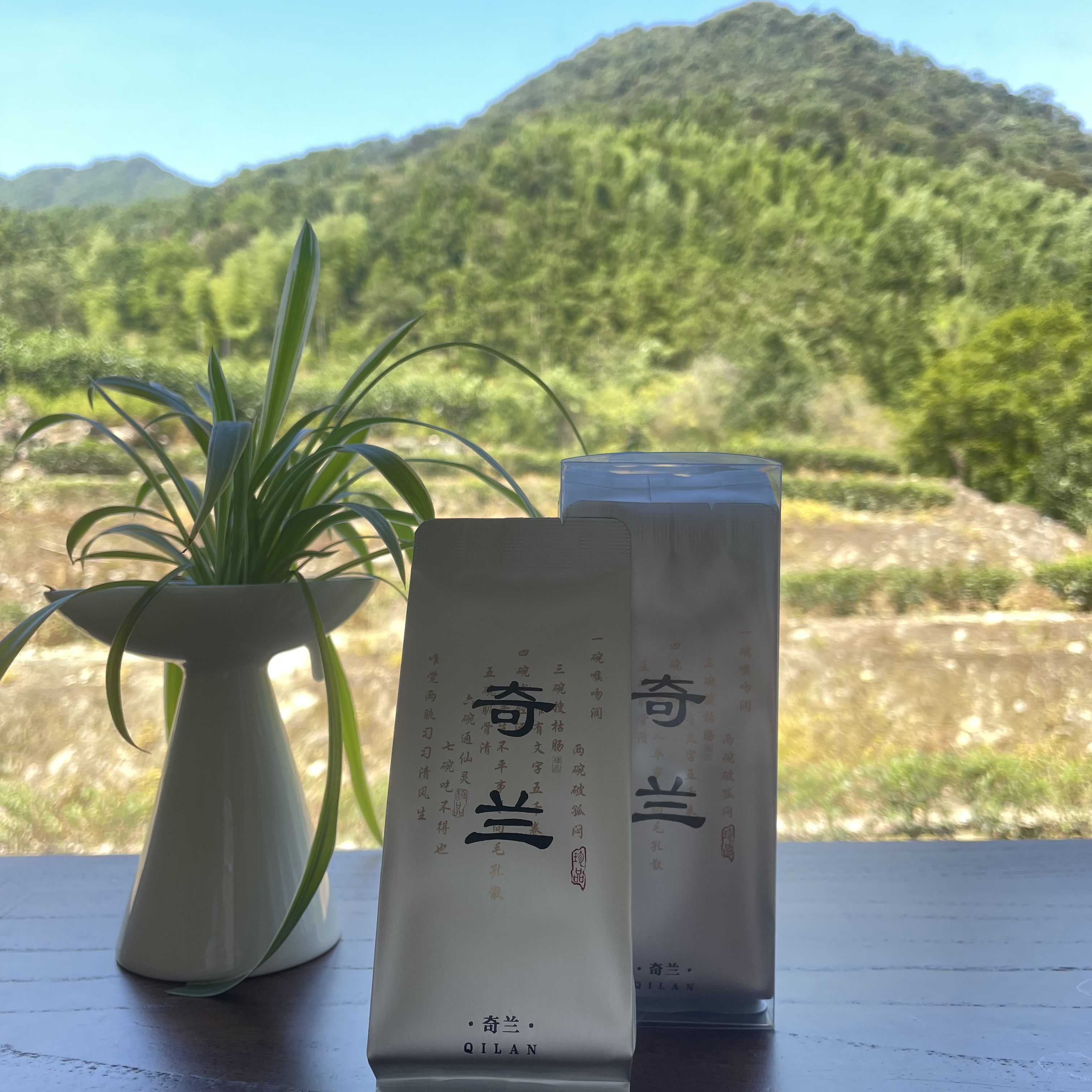 【九枞岩】武夷岩茶金边奇兰6泡品鉴装高香口感细腻好茶2025年新茶