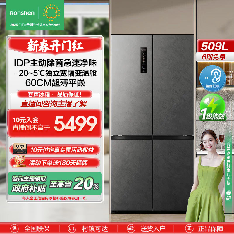 【政府补贴20%】容声509双净（517十字款）平嵌灰大容量冷冻冷藏冰箱