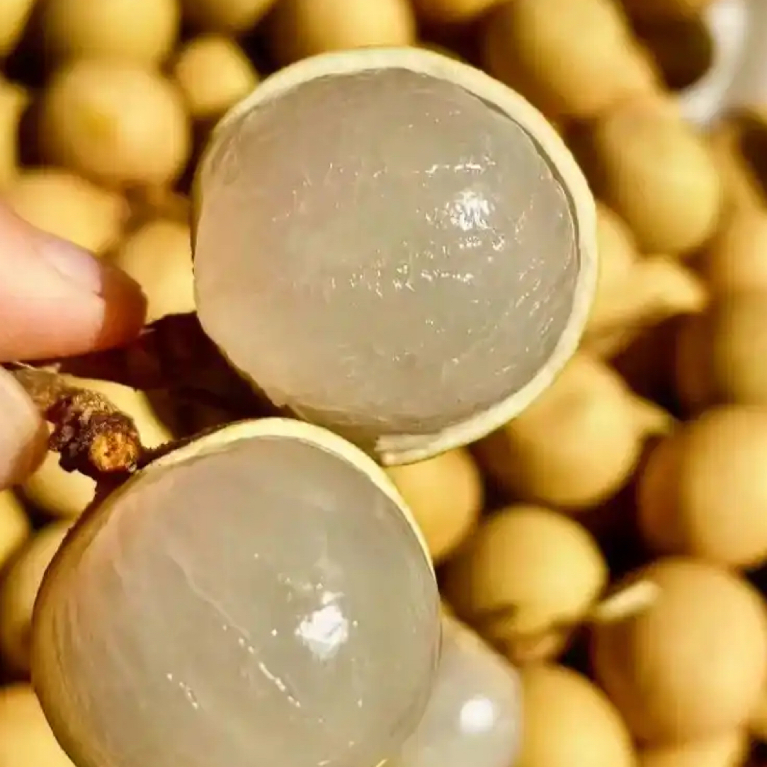 泰国进口金标大龙眼新鲜当季鲜果2斤