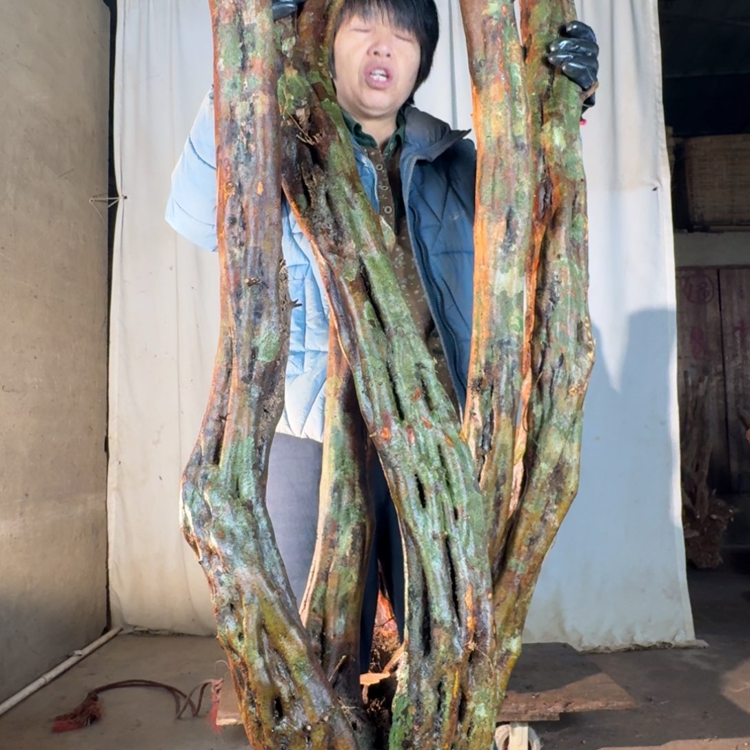 d***n788888888888888888888