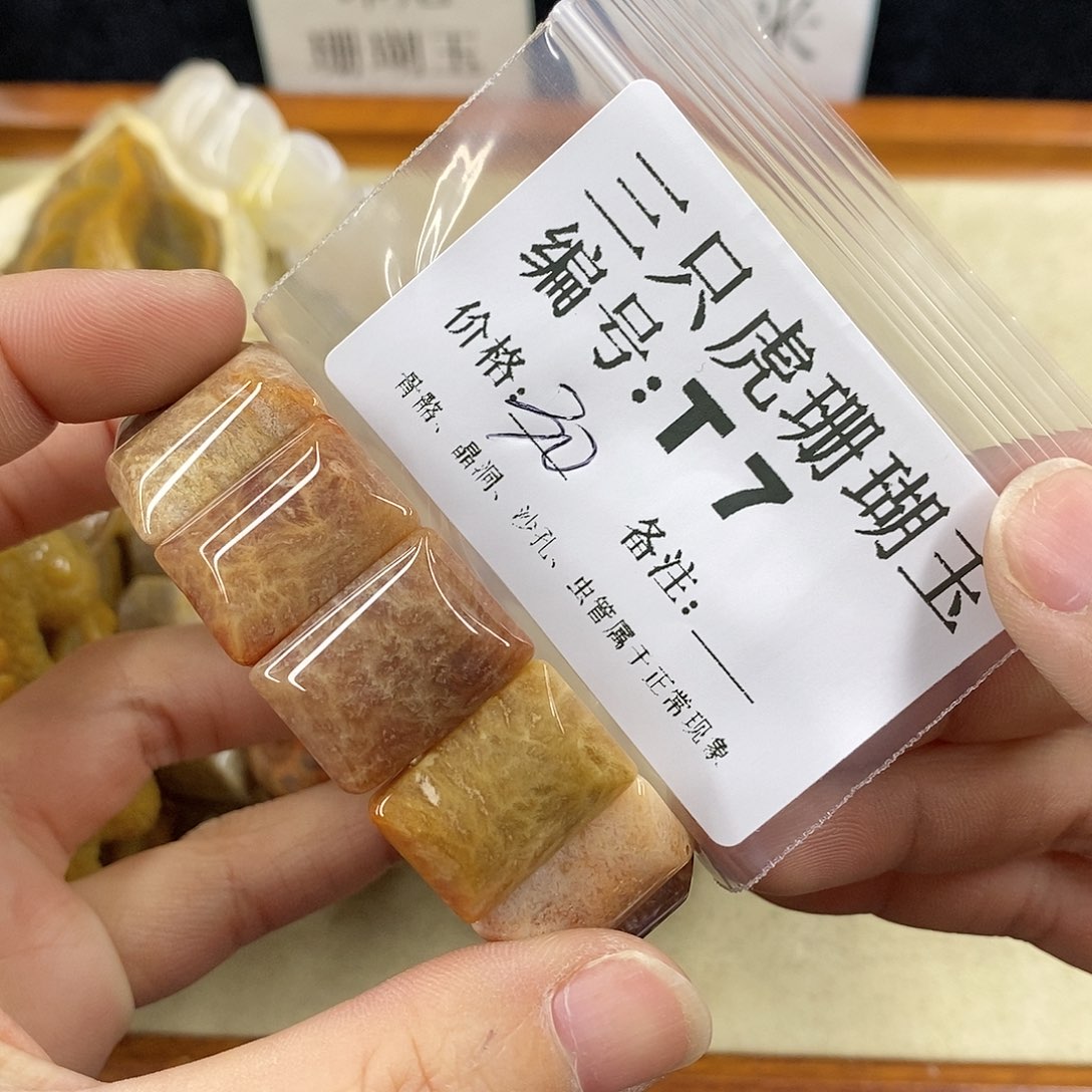 硅化珊瑚（珊瑚玉）1未镶嵌爱***鞋