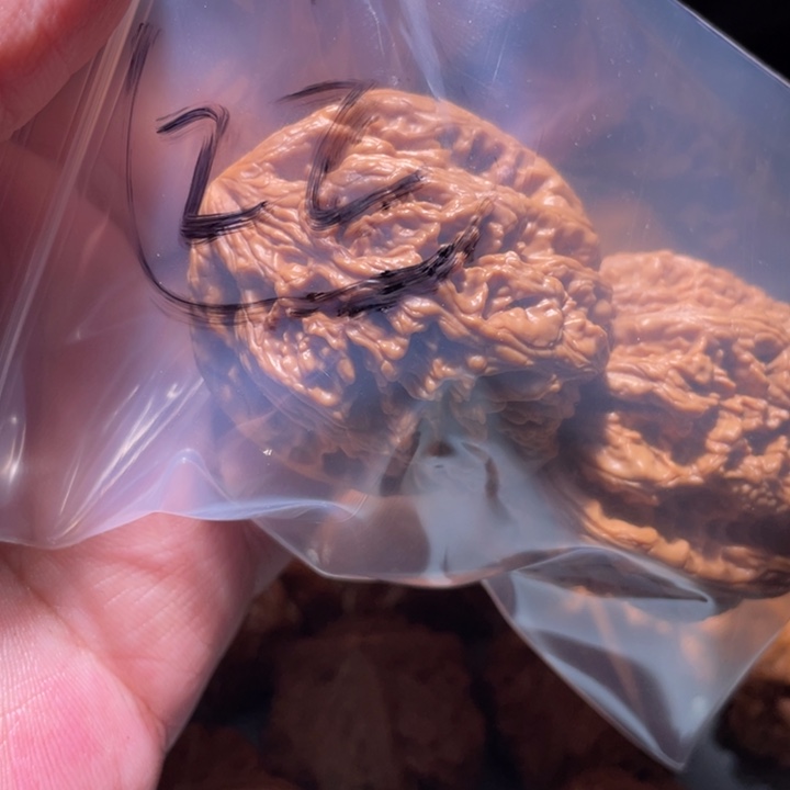 文玩核桃吊坠22呃呃呃