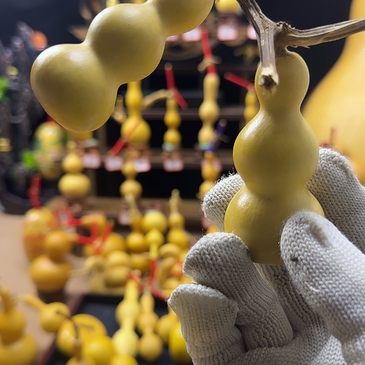 大叶紫檀（黑酸枝木类）趁*