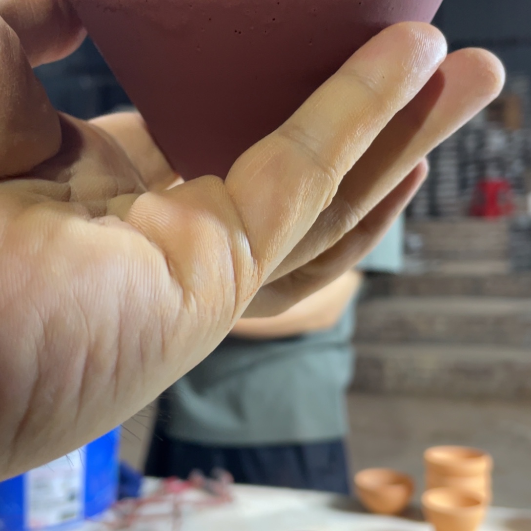 茶盏木*名特惠活动产品