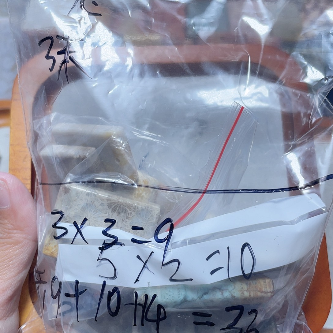 c***兔硅化珊瑚（珊瑚玉）合金颈饰