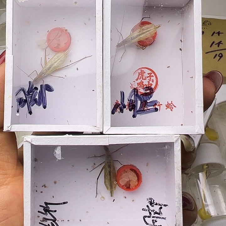 用***2哈哈哈哈哈哈哈哈哈哈哈哈哈哈哈哈哈