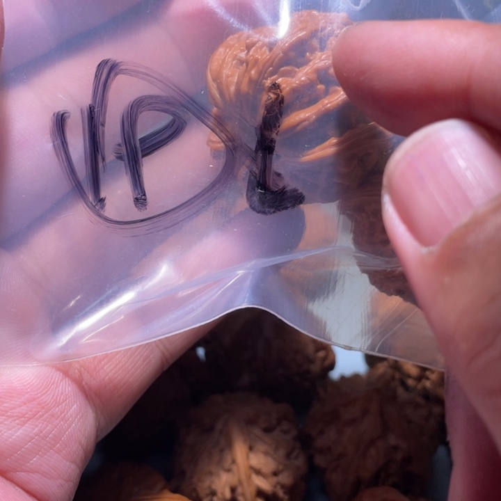 文玩核桃吊坠19呃呃呃