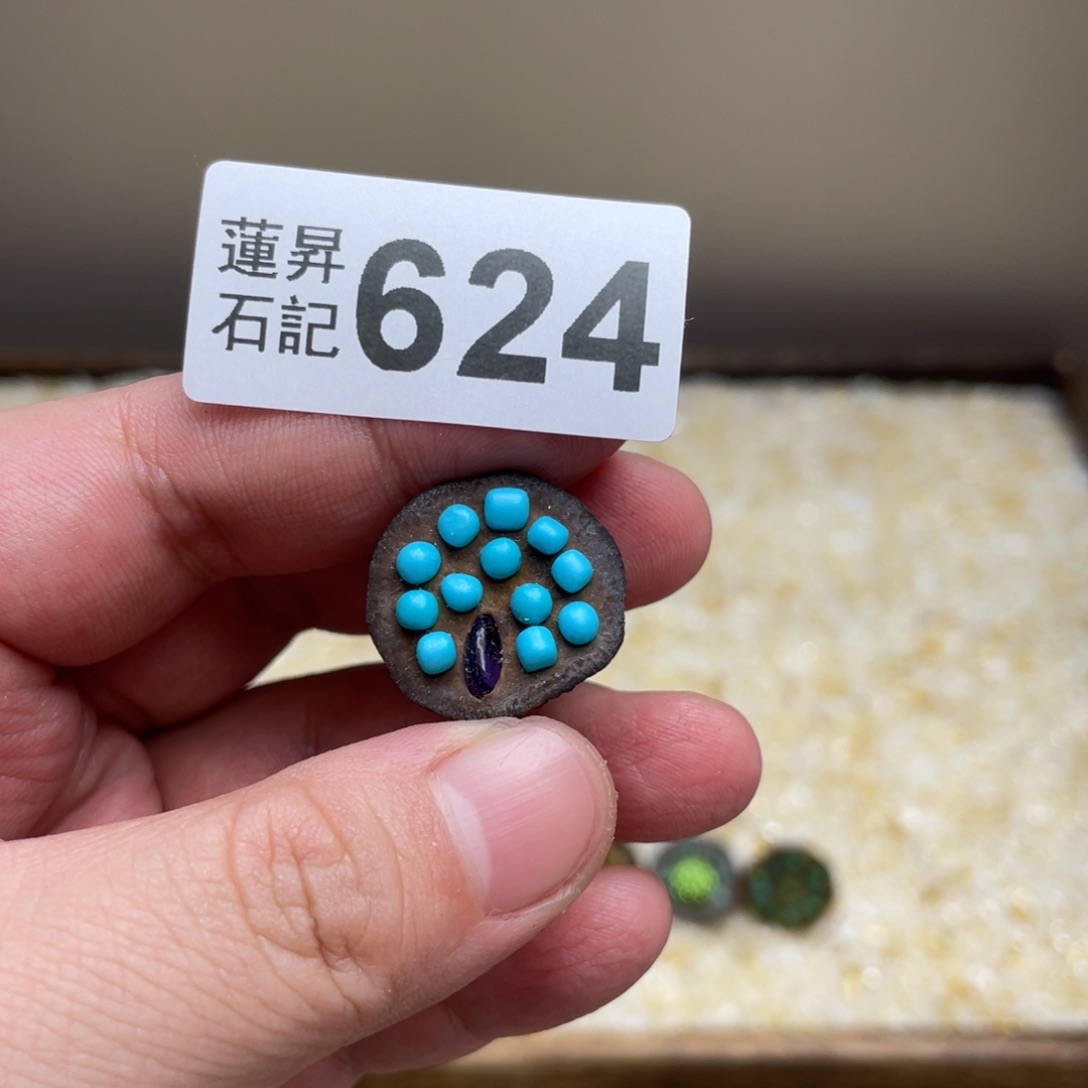 核桃木/黑胡桃（胡桃木）安****子624