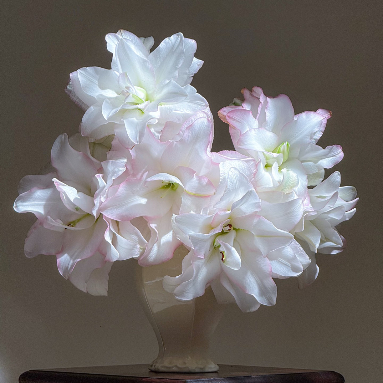 「嘤嘤怪鲜花」冰美人重瓣百合上海种业百合云南直发顺丰包邮