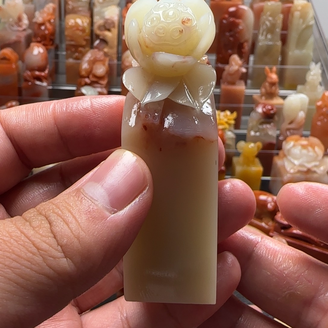 老挝石荷花  2.2×7.5