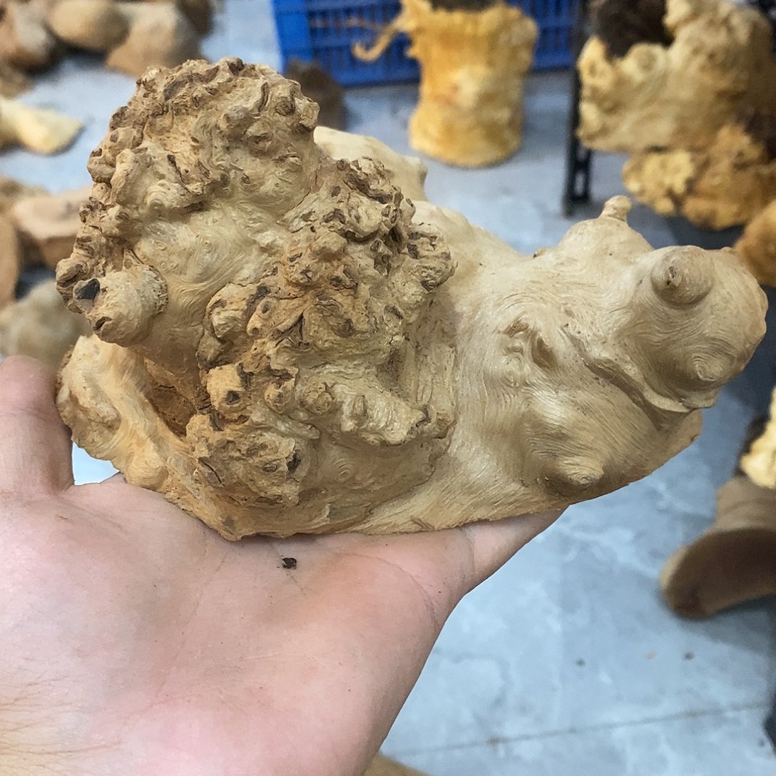 文***产荔枝木荔枝木原料