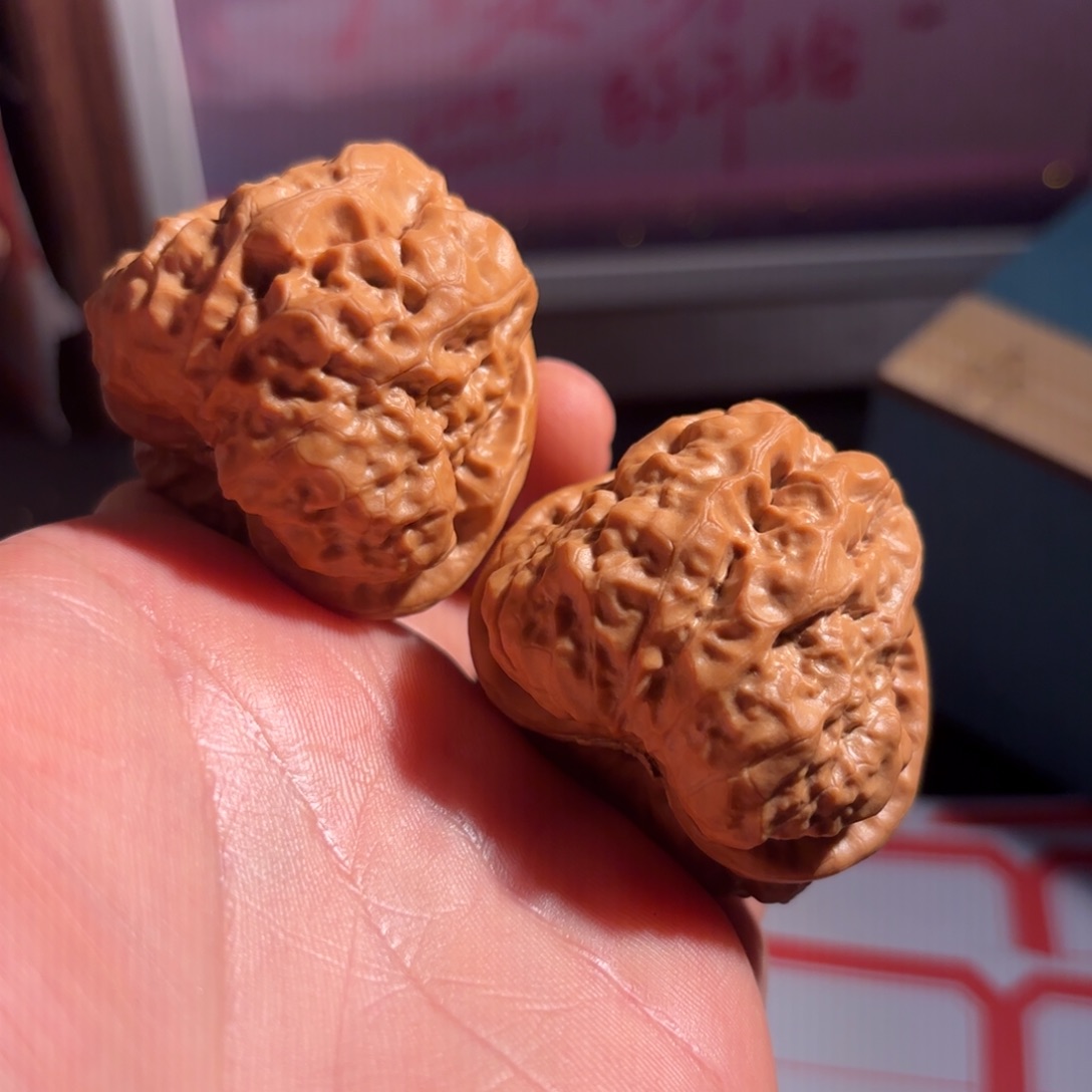 万***️核桃41蛤蟆箭毒微修