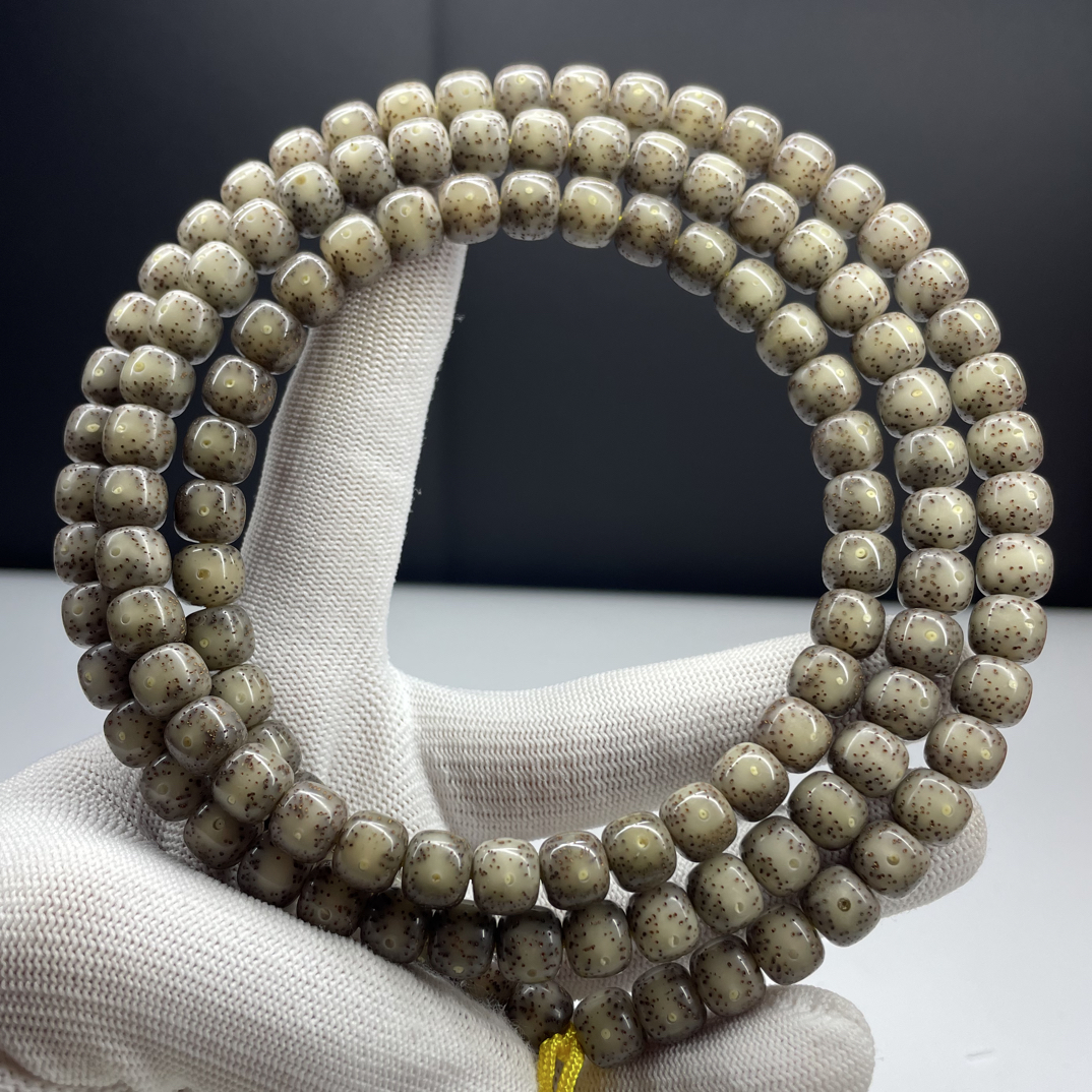 原生态星月菩提同枝灰糯冰润透大眼睛稀散细星9x8桶