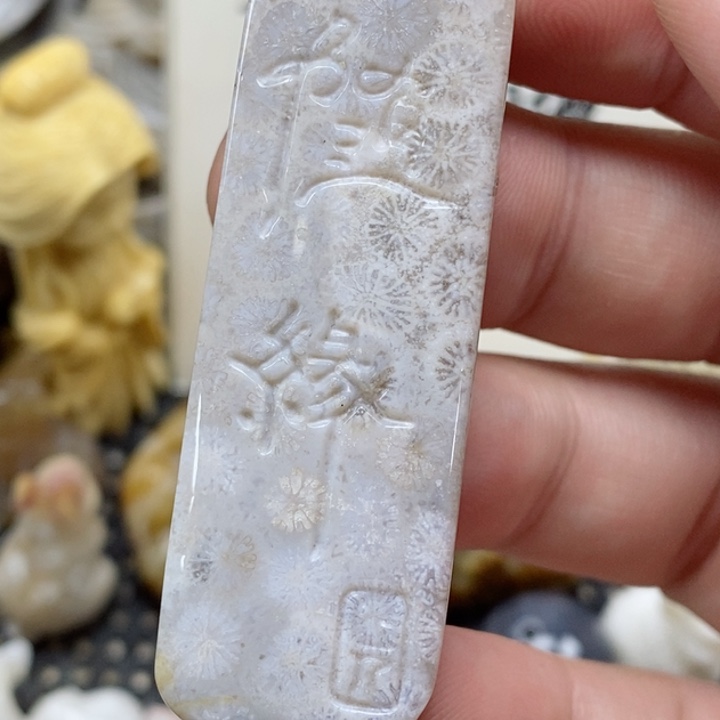 颈饰未镶嵌硅化珊瑚（珊瑚玉）