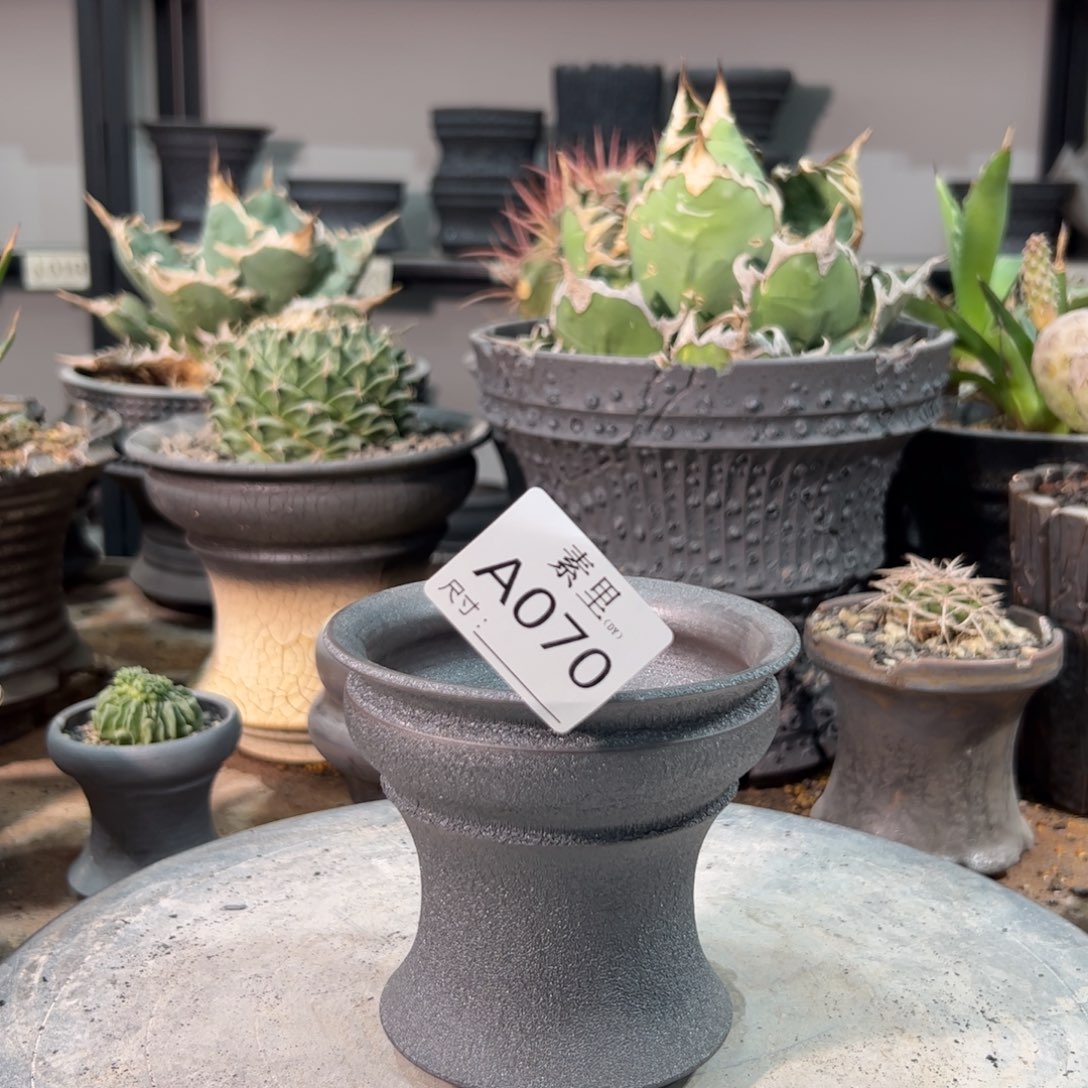 景德镇手工素里内面10.3高10