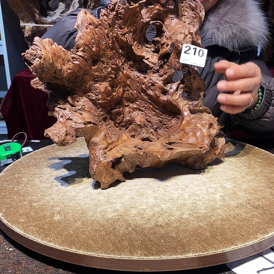 佛***210。红杉根随行根艺