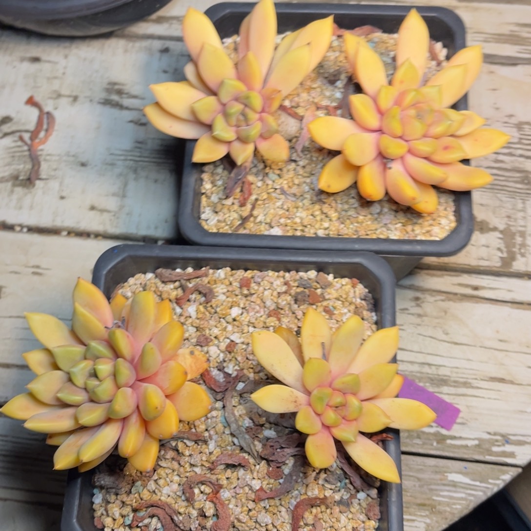 0000000000000000000000