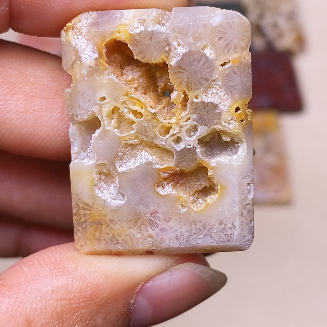 蒜***机硅化玉合金珊瑚玉