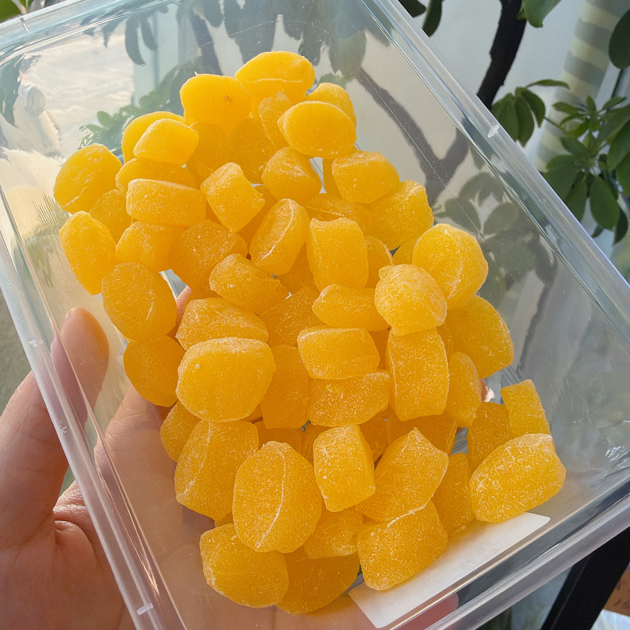 果切【南京代购】大三元橙子橘红糕