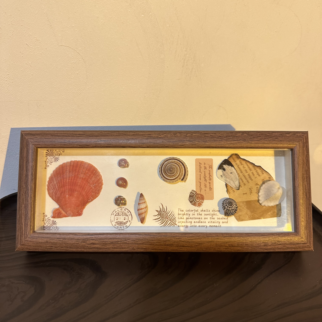 黑胡桃色 贝壳海螺相框 立式简约ins风家居装饰品