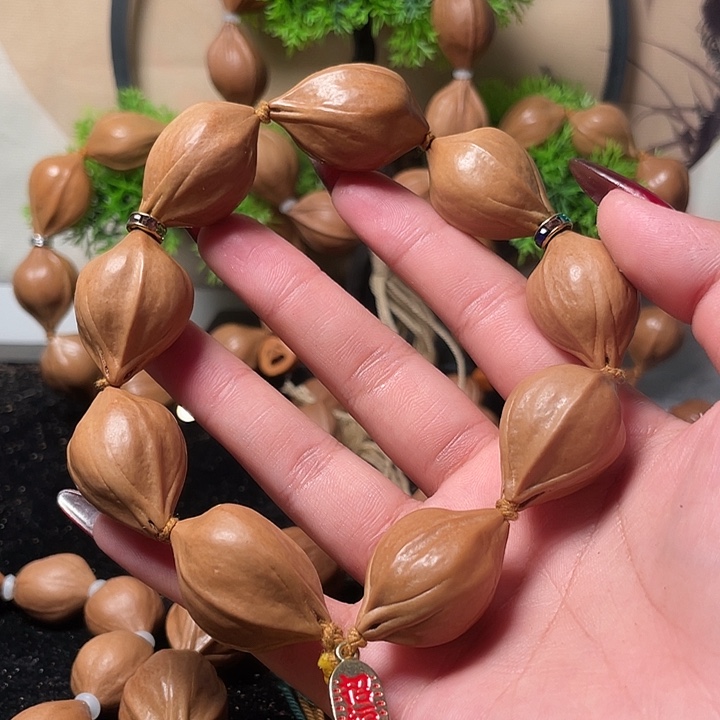 橄榄核手串/手链2.1鹦鹉手持9