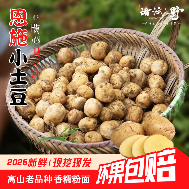 【2025新鲜现挖】恩施小土豆 马尔科洋芋黄心高山马铃薯面糯原生态