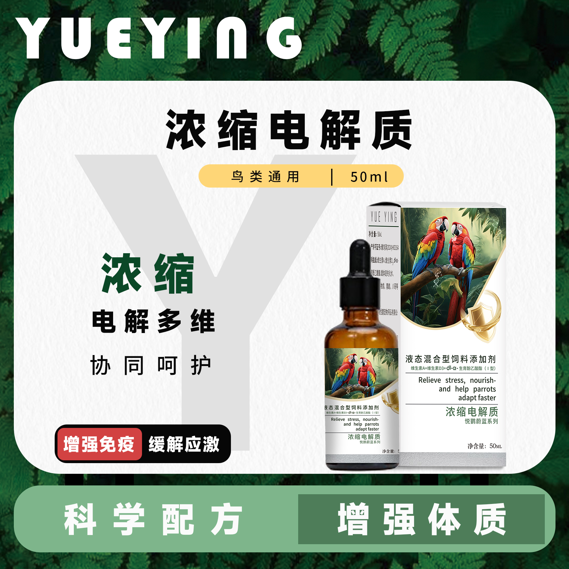 悦鹦电解质补充能量营养维生素缓解抗应激鸟类通用秋裤鸡
