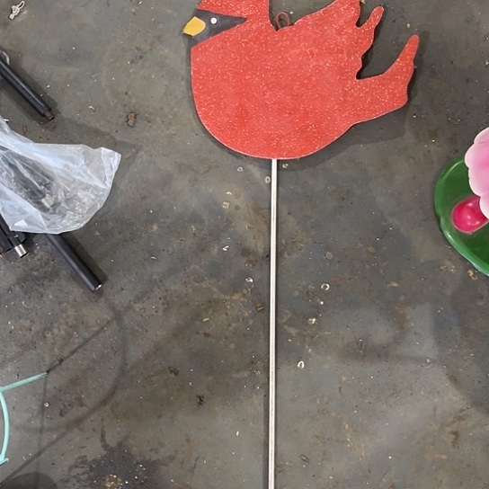 哈哈我也想要这个小可爱