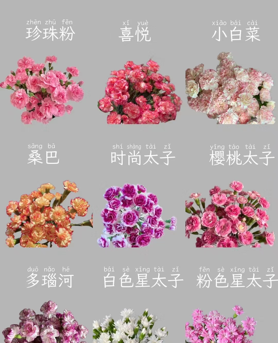 《多头康乃馨，多丁》母亲节花束康乃馨选色系列