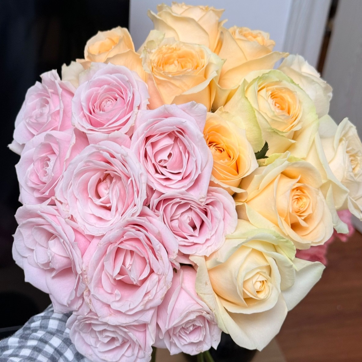 【西北玫瑰】蜜桃雪山+粉红雪山20枝