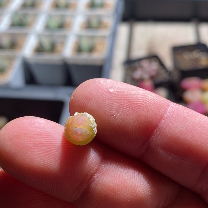 26229一个一个一个