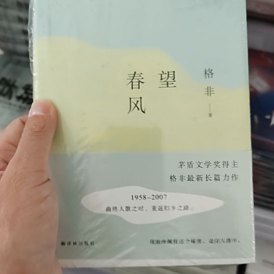 飞望春风望春风望春风