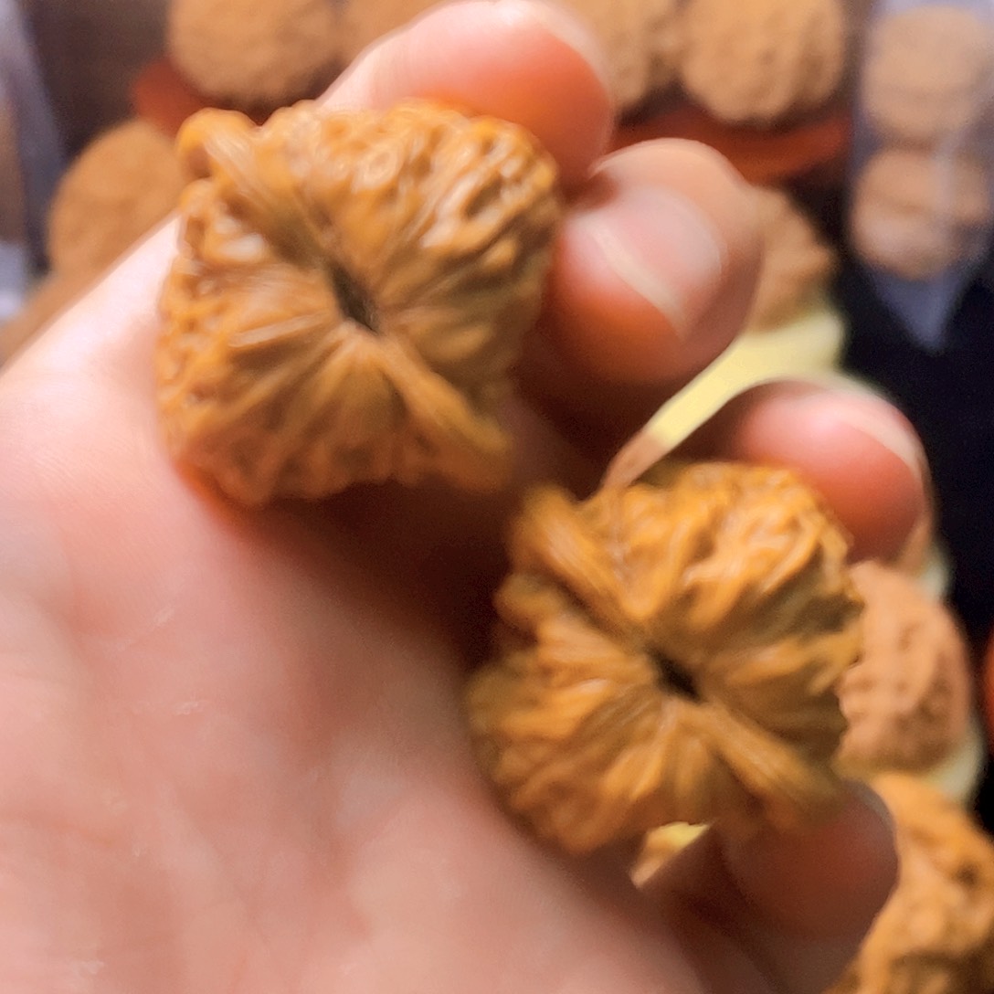 36尺全品无修白蛇骨