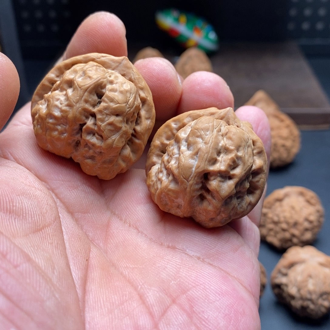 35全品四开背蛤蟆888888888