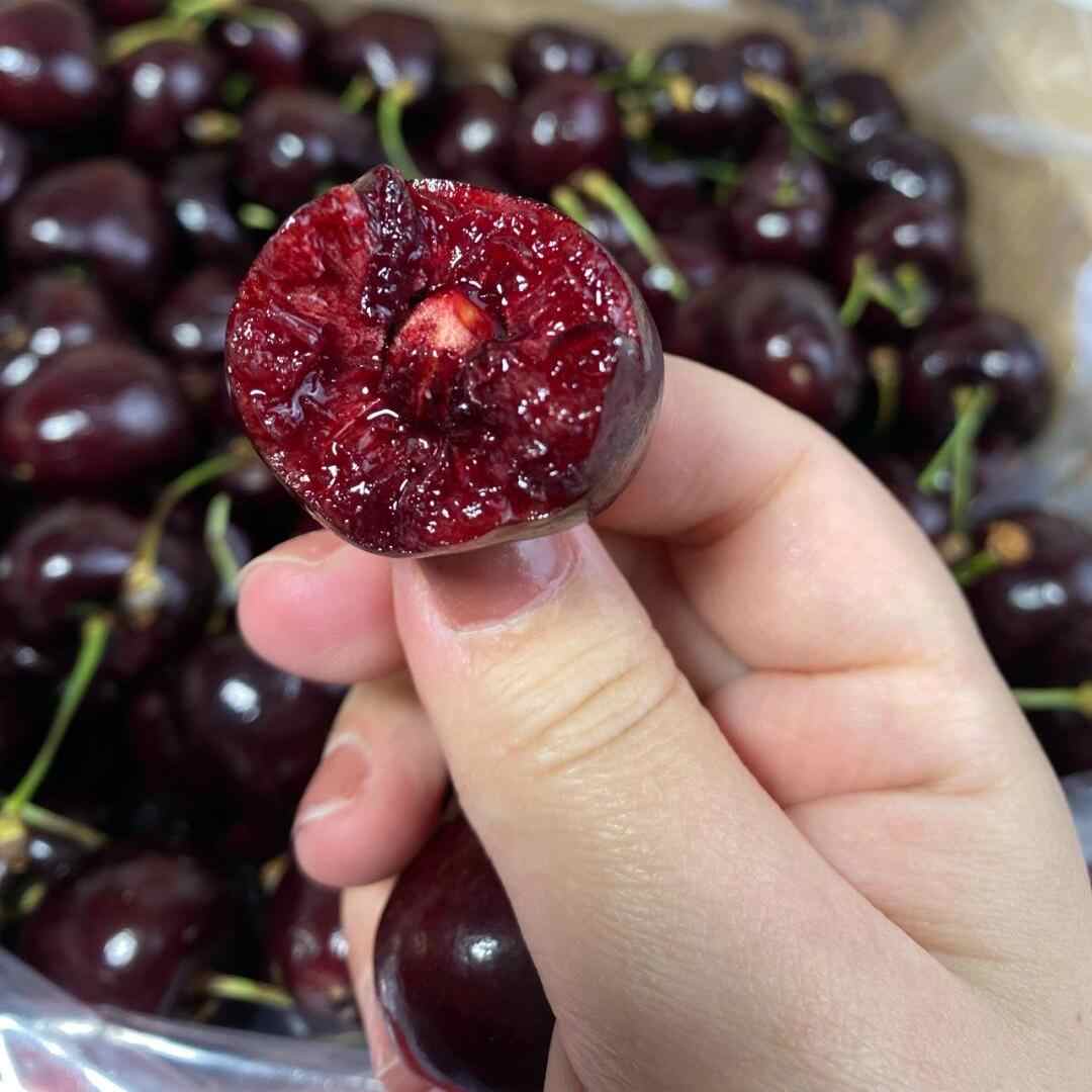 【智利海运车厘子】桑提娜车厘子2JD5斤樱桃智利共和国进口 内附果径卡桑提娜樱桃智利共和国