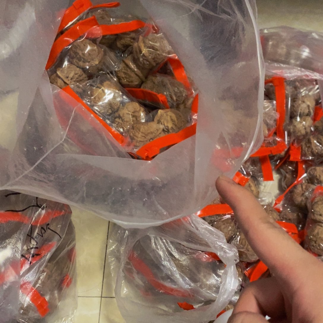 吊坠文玩核桃三角蛙36下练手对（不退不换）