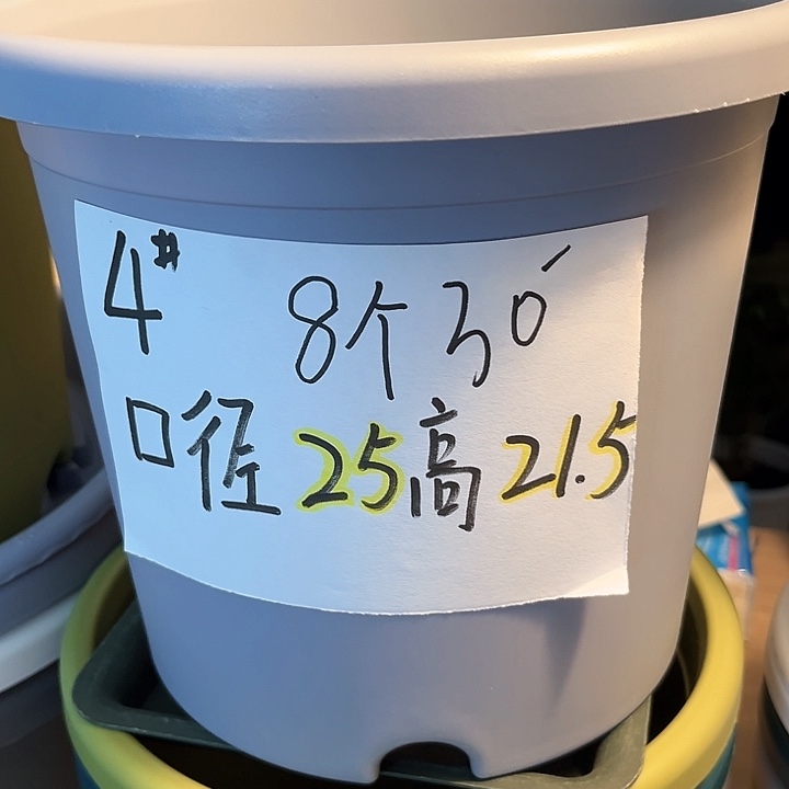 树脂四季盆4号白色20个，无托