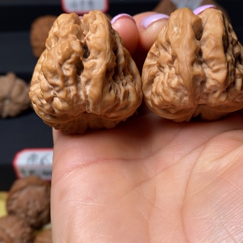 文玩核桃蛤膜头三角蛙尺38
