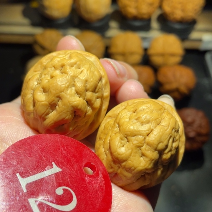 疙瘩包31尺寸核桃