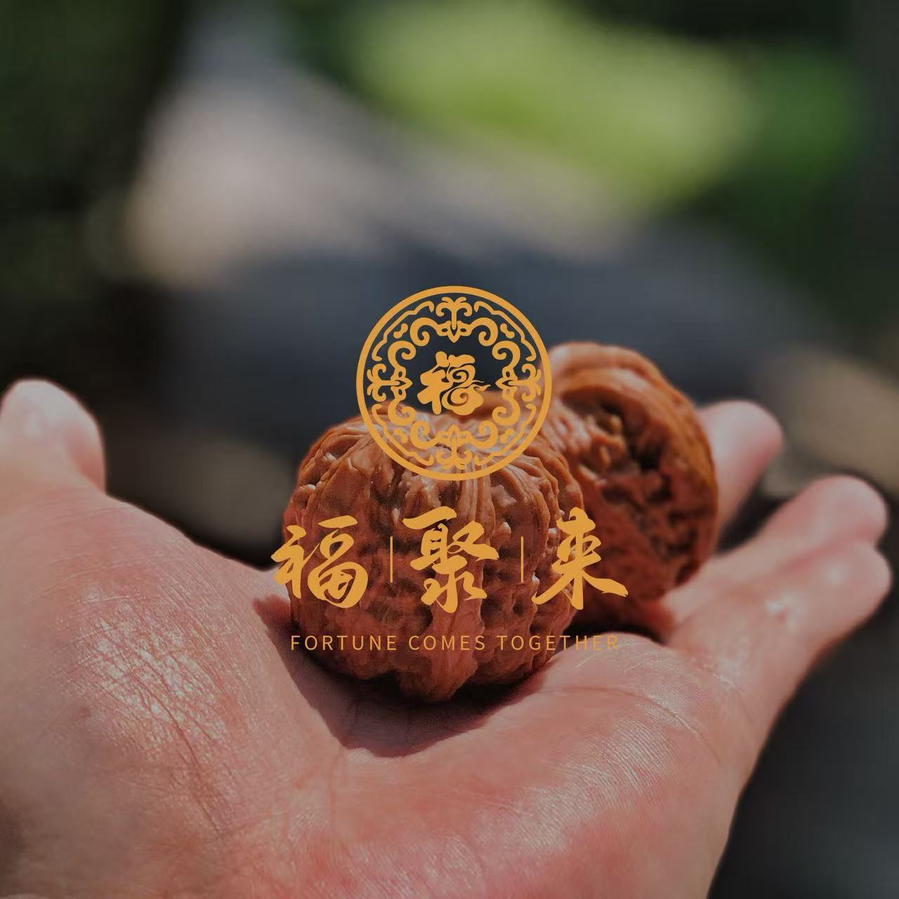 文玩核桃麻核桃异形连体白狮子三棱