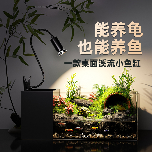 饲生态家用小型造景小龟懒人鱼缸专用混养养鱼乌龟缸乌龟龟养全套