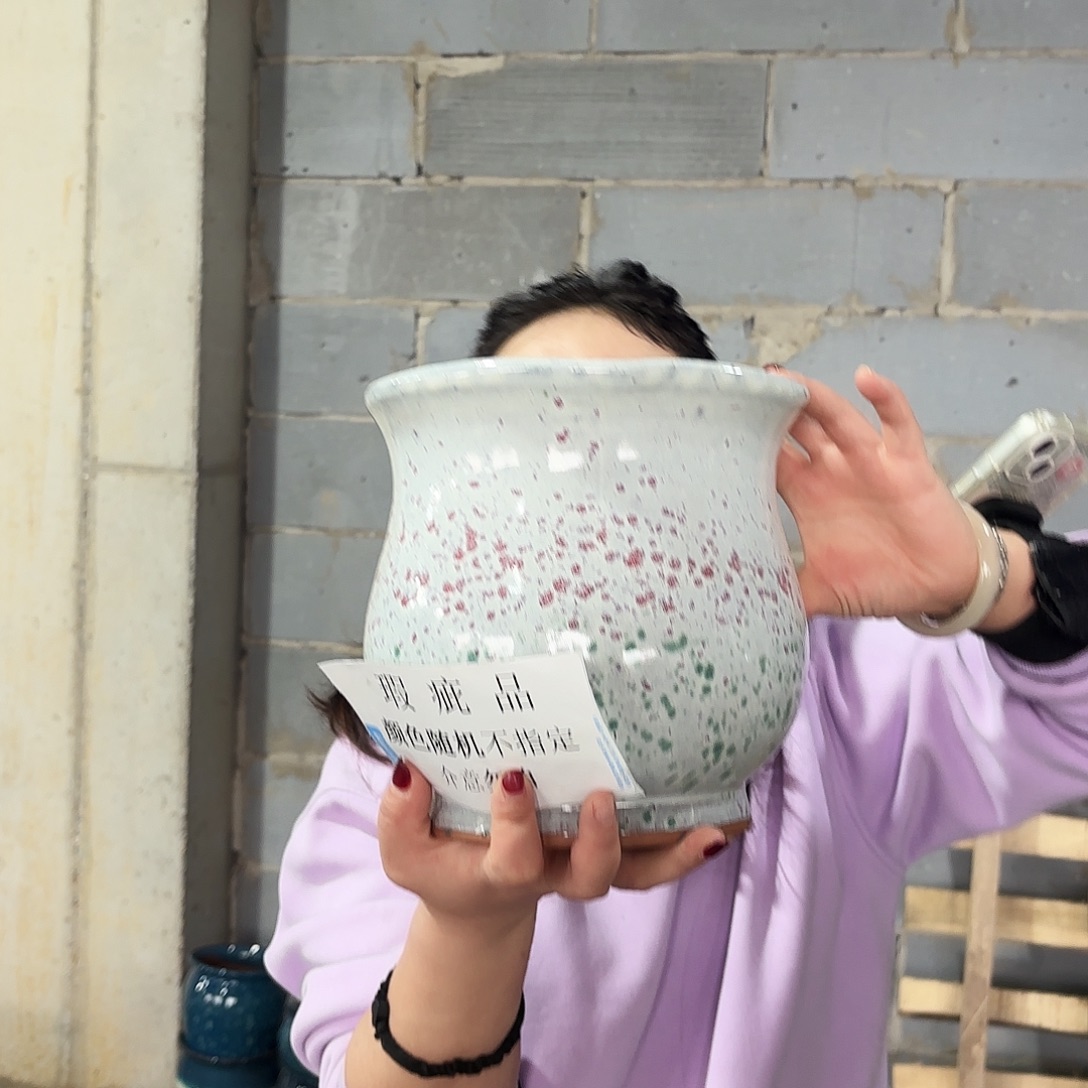 瑕疵一个20/20红陶