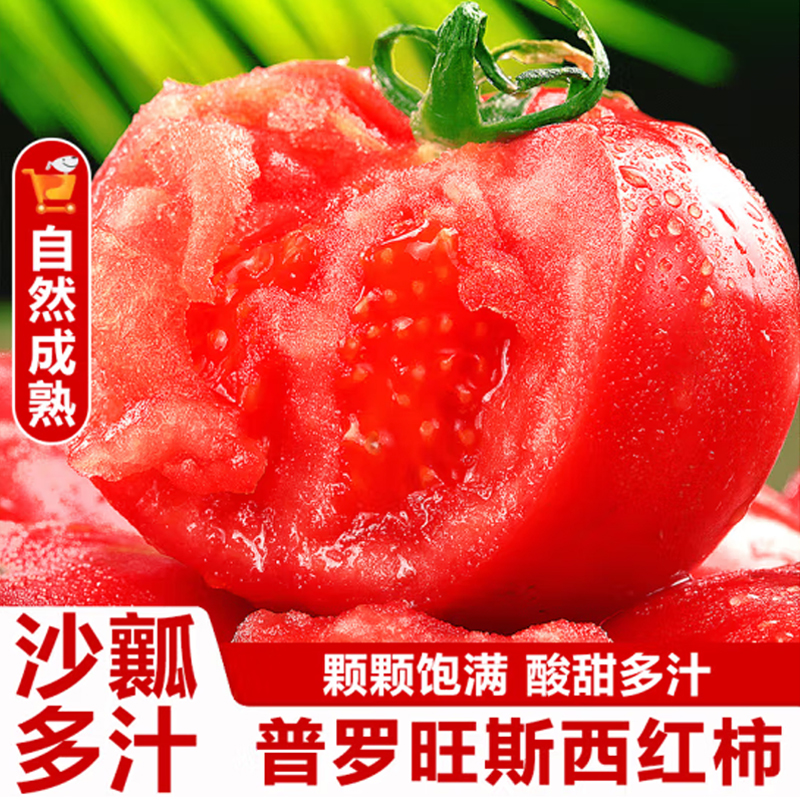 全爸农产品陕西普罗旺斯西红柿新鲜生吃沙瓤大番茄自然熟水果