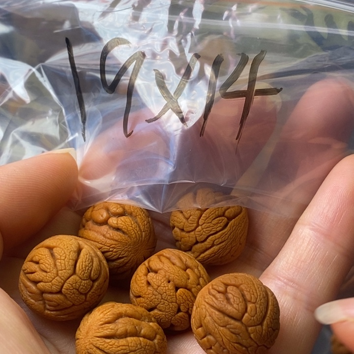 手串文玩核桃秦岭野生龙纹桃核19