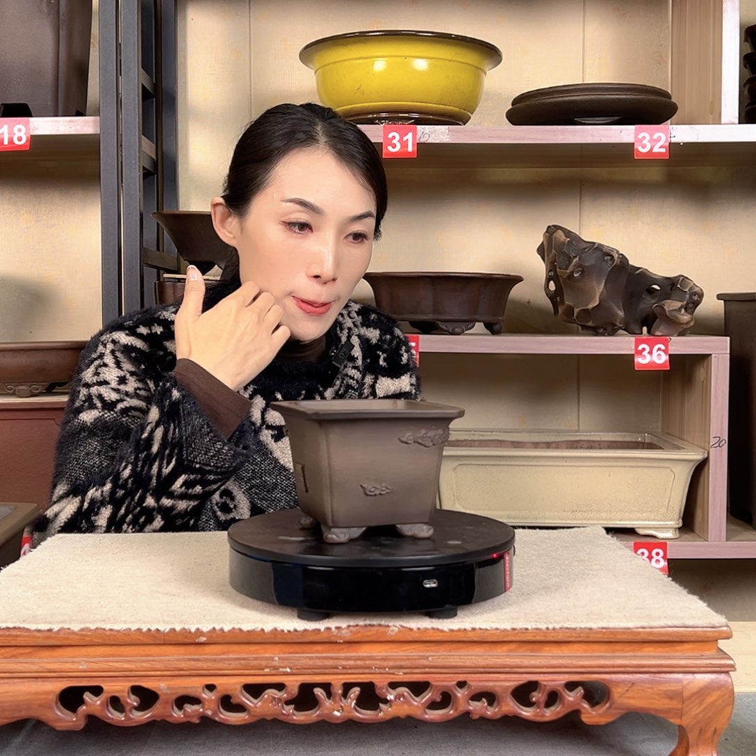 树****553665855桐荫轩老盆