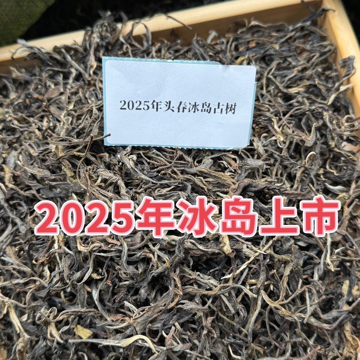 新人尝鲜!3泡冰岛南迫古树 限10份 25春 韵感十足 汤香水柔 