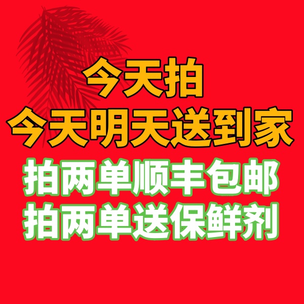 【鲜花】10枝多头玫瑰 全场任意满两单及以上顺丰包邮包邮 明天送到家 ZM23
