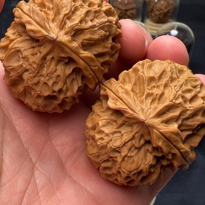 文玩核桃把件凤凰牡丹45mm