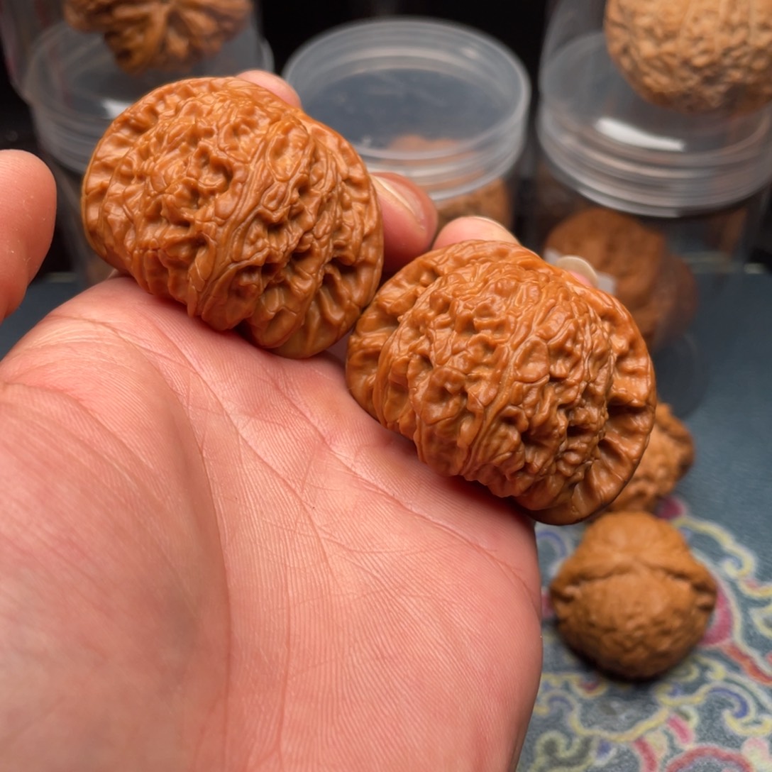 文玩核桃把件孤**年闷白